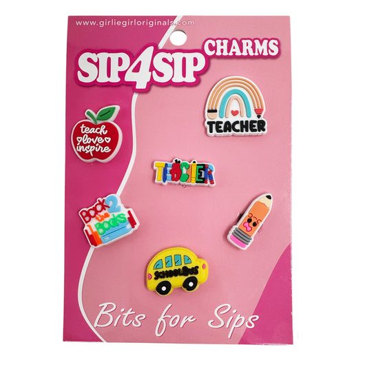 B4S-9 TEACHER RAINBOW CHARM